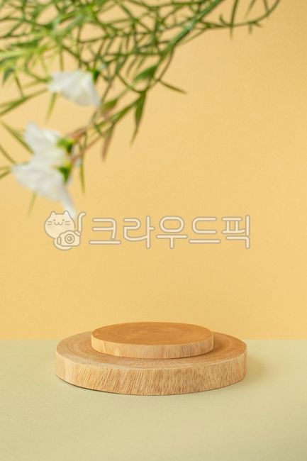 template,studio,pedestal,Fresh,award stand,horizontal composition,advertising,Flowers,Natural,space,empty,presentation,Leaves,interior decoration,Plant,award,Out of Focus,copy space,Tree,wood,stand,exhibition,Nature,Center,business,Branches,display,Closeu