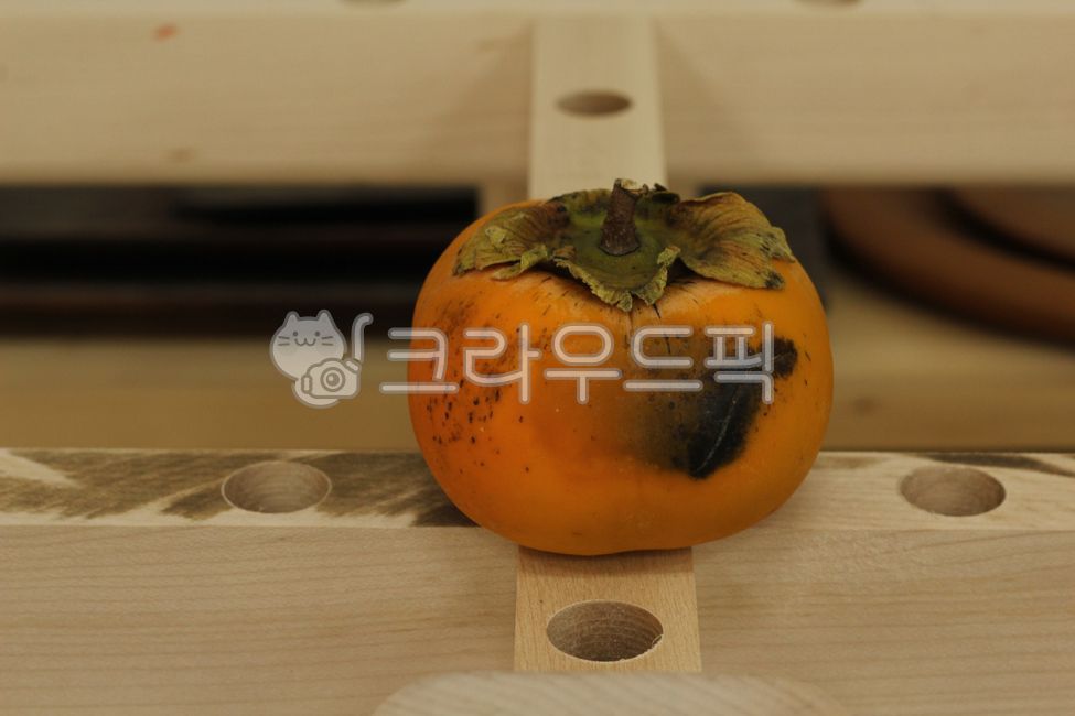 단감,감,persimmon,fruit,food,감꼭지