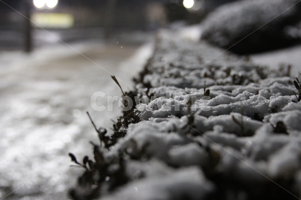 겨울,밤,눈,눈길,눈밭,겨울밤,화이트,겨울,계절,winter,season