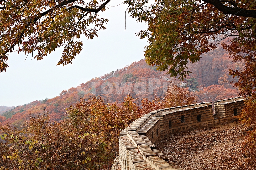남한산성,성,성곽,단풍,낙엽,길,둘레길,숲,숲길,담,돌담,가을,자연,풍경,벽,울긋불긋,산성,식물,가을,계절,fall,autumn,season,한국전통,한국문화,korean traditional,korean culture,tree,나무,plant