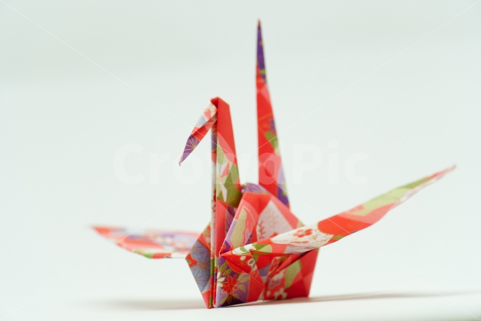 종이학,색종이,종이접기,누끼,누끼사진,사물,물건,object,공작,동물,animal,조류,새,bird,짝사랑,첫사랑,그리움,소원,감성,감성사진,힐링,힐링사진,느낌,분위기,간절함,간절한,애타는,마음,희망,컨셉,콘셉,concept,소망,꿈,dream,paper,종이,feel,feeling,양식,패턴,오브젝트,사물,물건,오브젝트,thing,object,matter,누끼,remove background