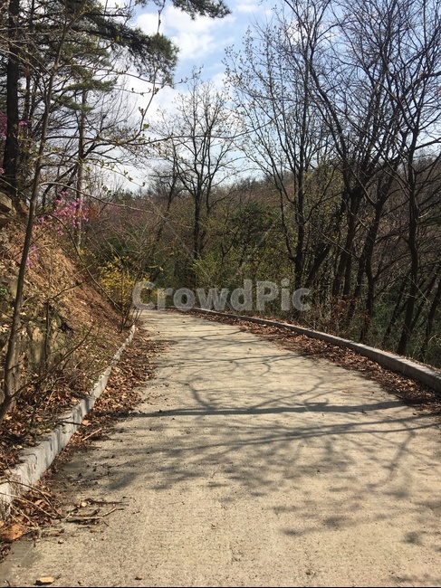 길,뒷산,가을,봄,쓸쓸함