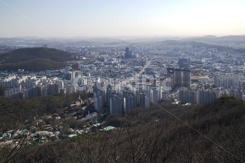 모락산,의왕시,안양시,경기도,도심풍경,군포시