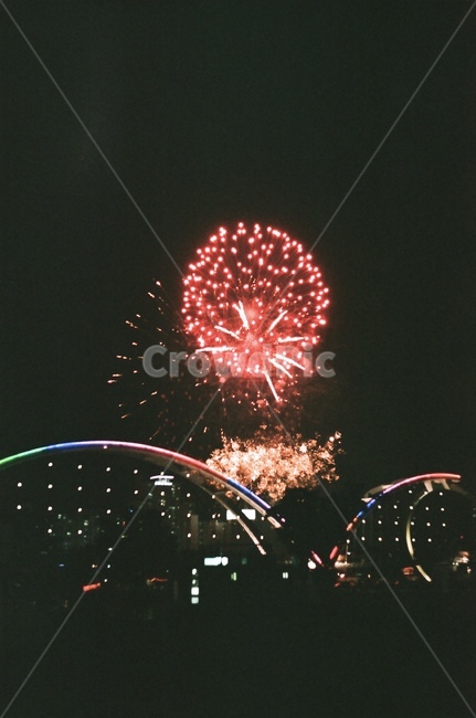 불꽃놀이,야경,울산,십리대밭교,태화강,야경,밤,풍경,nightscape,night,landscape,도시,city,한국도시풍경,한국도시경관,korea cityscape,축제,행사,festival,carnival,event,감성,sensible,feeling,nature,자연,outdoors,옥외