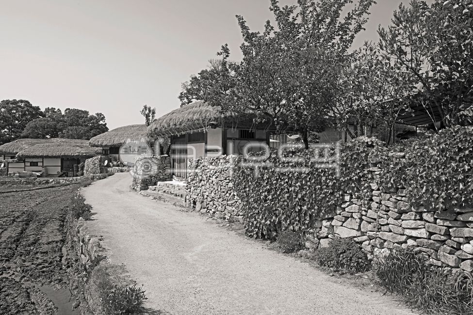 외암민속마을,외암마을,아산시,집성촌,예안이씨,초가집,돌담길