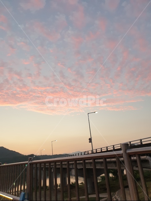 road,도로,분홍하늘,하늘,다리,가로등,분홍