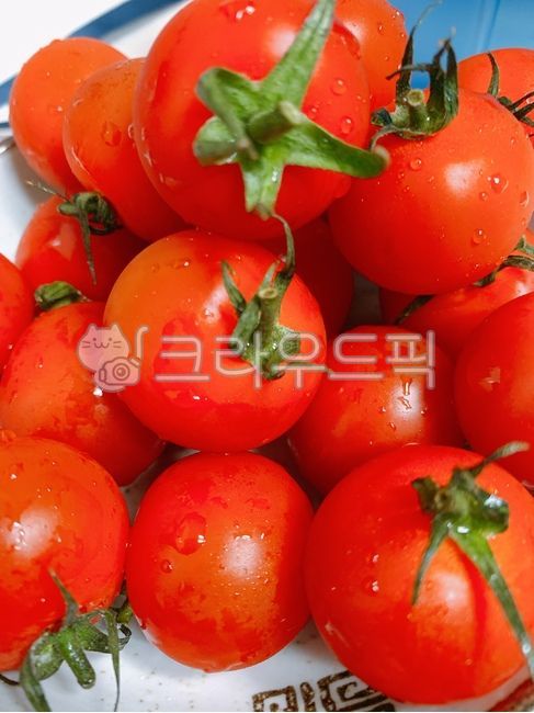 Cherry tomato,plant,tomato,Jujube Tomato