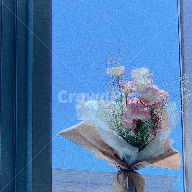 plant,식물,flower,꽃,blossom,flowerarrangement,꽃꽂이,flowerbouquet,꽃부케,꽃,flower,기념일,축하,anniversary,congratulation,celebrate,celebration