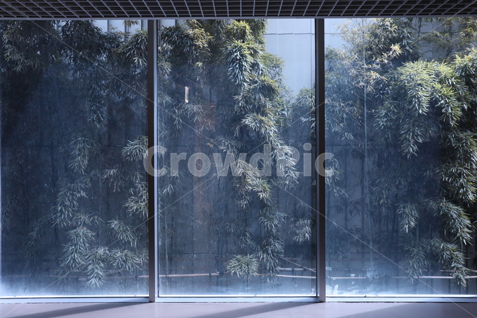 아시아문화전당,대나무,창,창밖풍경,감성사진,인테리어,실내디자인,interior design