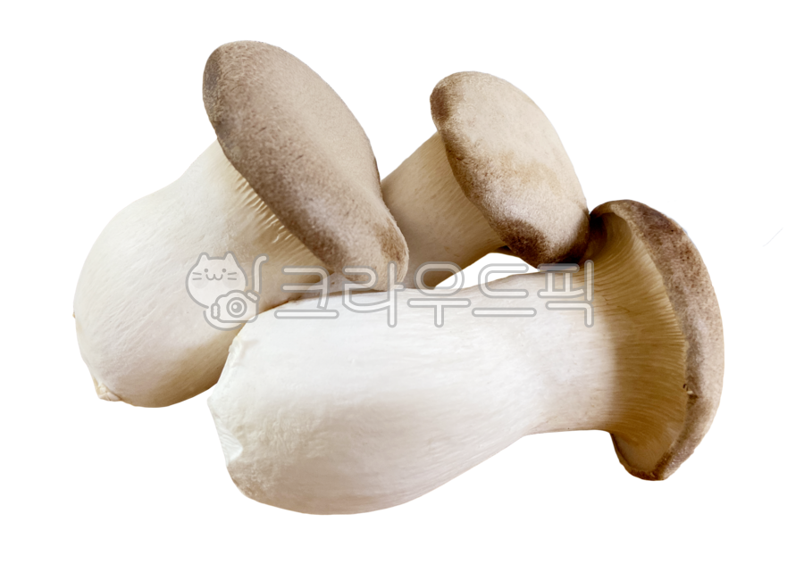 식재료,음식,버섯,새송이,새송이버섯,새송이png