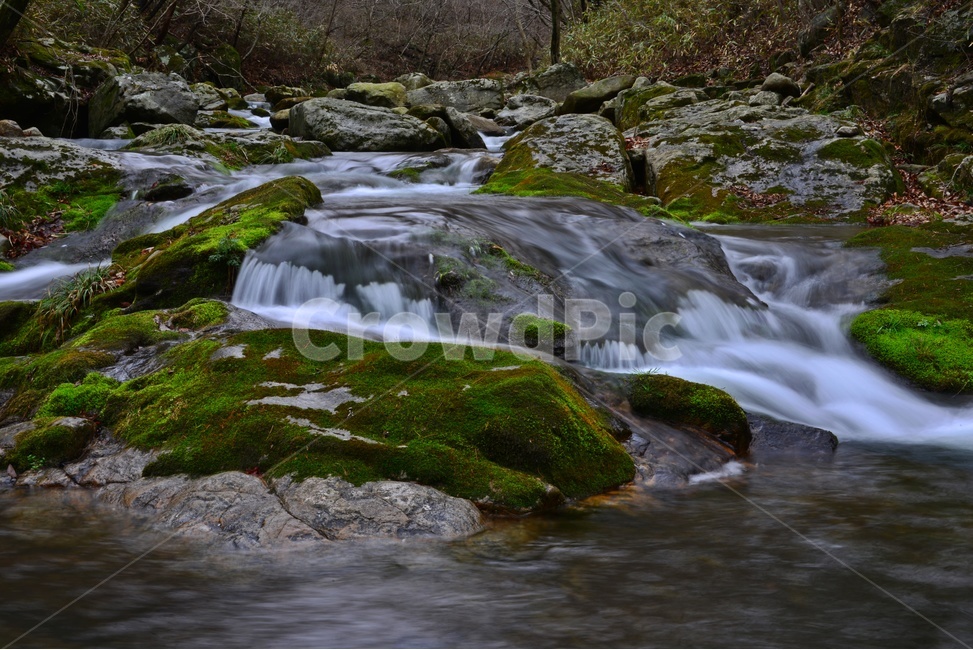 water,물,nature,자연,outdoors,옥외,stream,흐름,승주,선암사,선암사계곡,계곡,물흐름