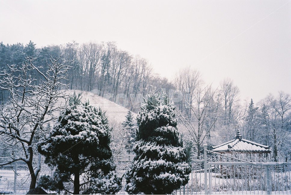 눈,산,나무,겨울,설산,하늘