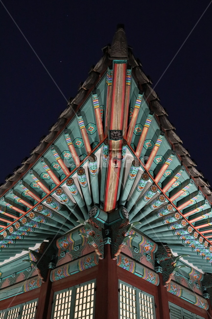 창경궁,단청,문화,한국전통,건축,궁,궁궐,야경,야간관람,korean,traditional,culture,colors,architecture,한국전통,한국문화,korean traditional,korean culture