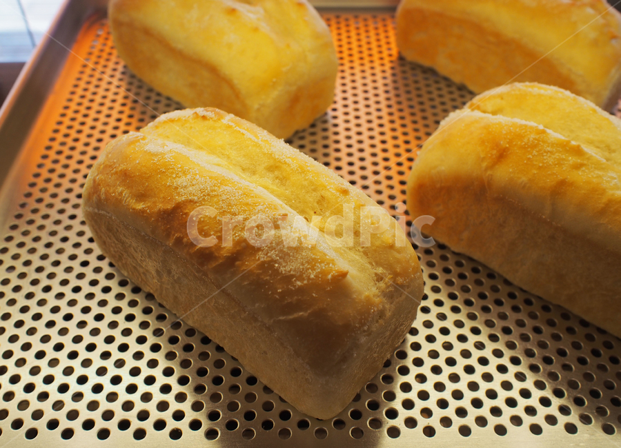 bread,빵,food,음식,옥수수빵,cornbread,디저트,간식,bakery,베이커리