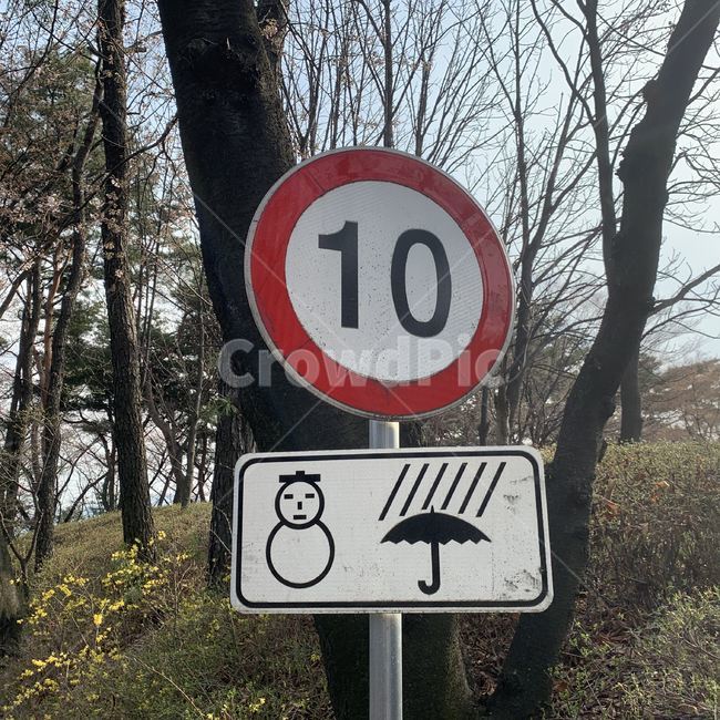 표지판,속도,날씨,sign,speed,weather