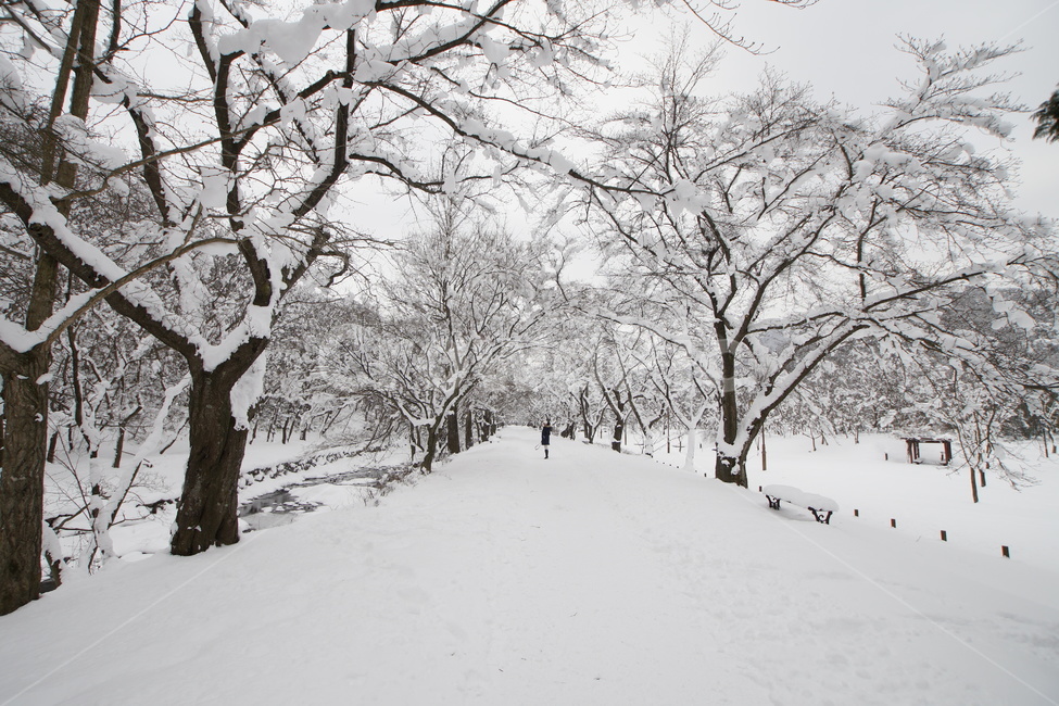 선운사,고창,설경,사찰,풍경,겨울,계절,winter,season,자연,풍경,nature,landscape,outdoors,옥외,snow,눈,blizzard,눈보라,storm,폭풍