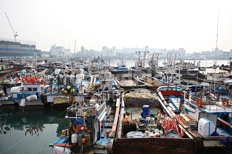 배,어선,선박,고기잡이배,어업,자연,풍경,바다,항구,어업,fishery,fishing industry
