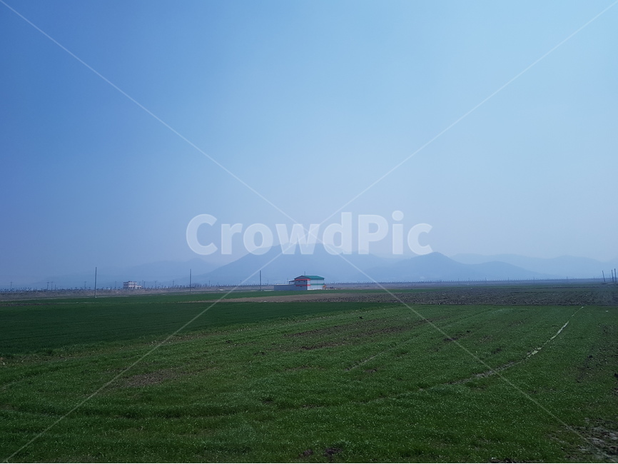 사진,폰카촬영,보리,푸르름,그리움,고향,자연,풍경,nature,landscape,시골,마을,country,rural,town,plant,식물,grass,잔디