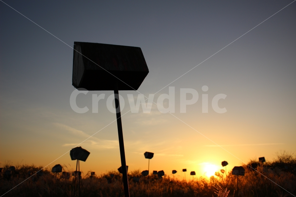 가을,억새풀,여행,석양,자연,색감,서울,하늘공원,억새,자연,풍경,nature,landscape,조각상,동상,석상,조형물,statue,bronze statue,stone statue,실루엣,그림자,silhouette,shadow,사물,물건,오브젝트,thing,object,matter