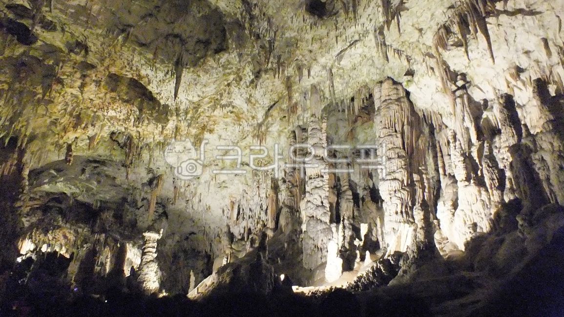 포스토이나동굴,슬로베니아,포스토이나,slovenia,jama,postojnska,postojna,cave,park,석회암동굴,종유석,석회동굴,동굴,석순,석주,카르스트,karst,자연,nature