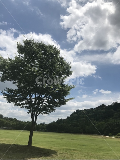 하늘,공원,상암,월트컵공원,서울풍경