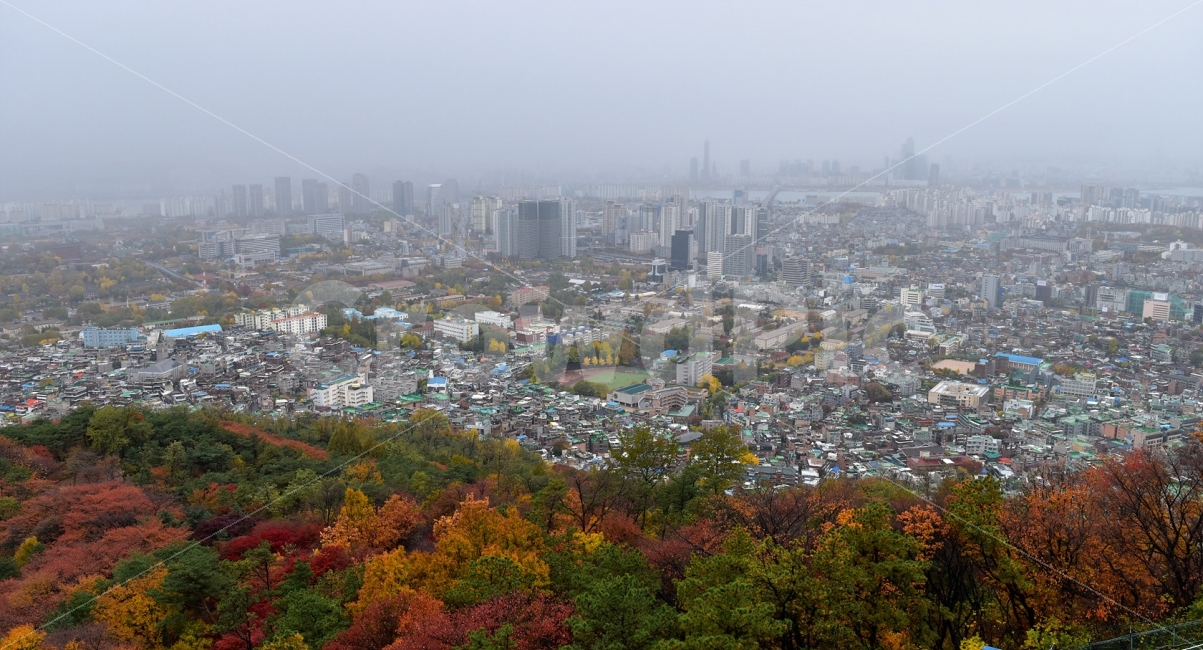 남산,가을,단풍,풍경,서울,낙엽,도심지,명소,자연,비경,단풍나무,가을색,가을색채,오색,가을,계절,fall,autumn,season,도시,풍경,city,landscape,경치,nature,outdoors,옥외,scenery