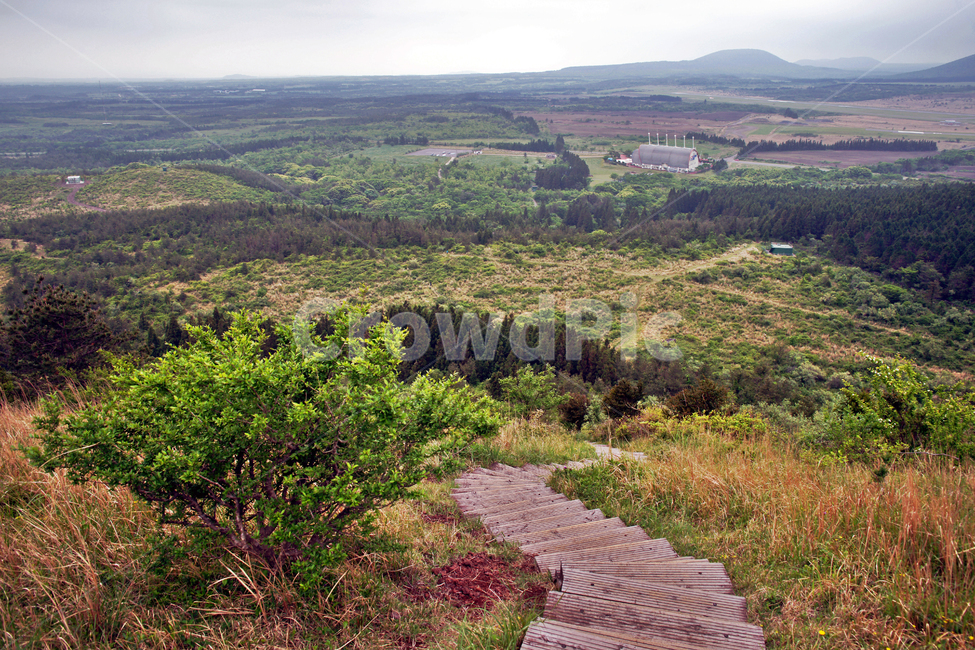 갑마장길,제주도,표선면,가시리,트레일,대록산,탐방로,자연,풍경,nature,landscape,제주도,jeju,jeju island