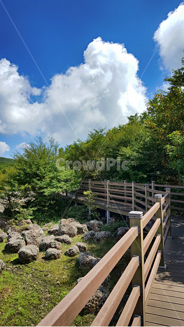 제주,한라산,1100고지,한라산1100고지,산,제주도,자연,nature,outdoors,옥외,다리,산책로,bridge,boardwalk,자연,풍경,nature,landscape