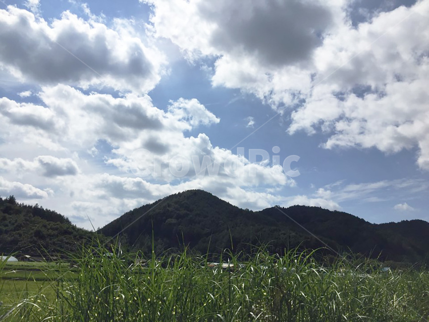 하늘,시골,산,배경,파란하늘