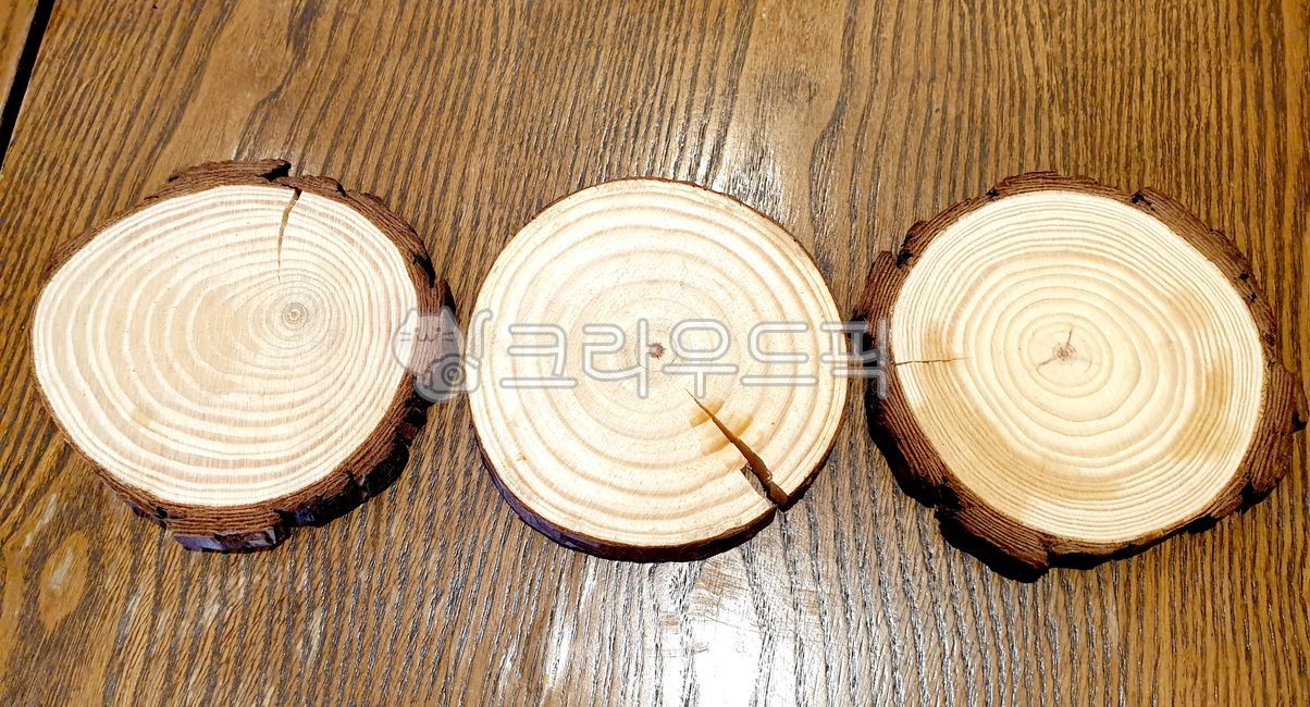 cafe,wooden table,solid wood,annual zone,tree,coaster,decoration,interior