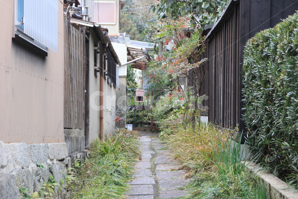 일본,교토,은각사,소실점,풍경,골목길,alley,outdoors,옥외,flagstone,판석,garden,정원