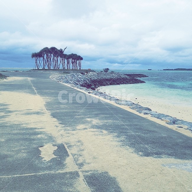 해안선,ocean,sea,바다,nature,shoreline,나무,beach,tree,하늘,sky