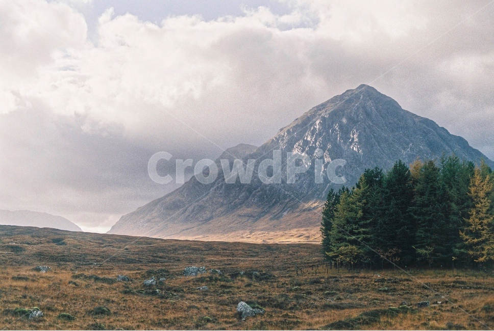 scotland,trekking,landscape,filmcamera,filmphotography,hiking,uk,westhighlandway,스코틀랜드,트레킹,필름사진,자연,풍경,nature,landscape,해외,외국,세계,foreign,oversea,world,세계자연풍경,해외자연풍경,외국자연풍경,world nature landscape,감성,sensible,feeling,outdoors,옥외,abies,아비,plant,식물,fir,전나무,tree,나무,mountain range,산맥,mountain,산