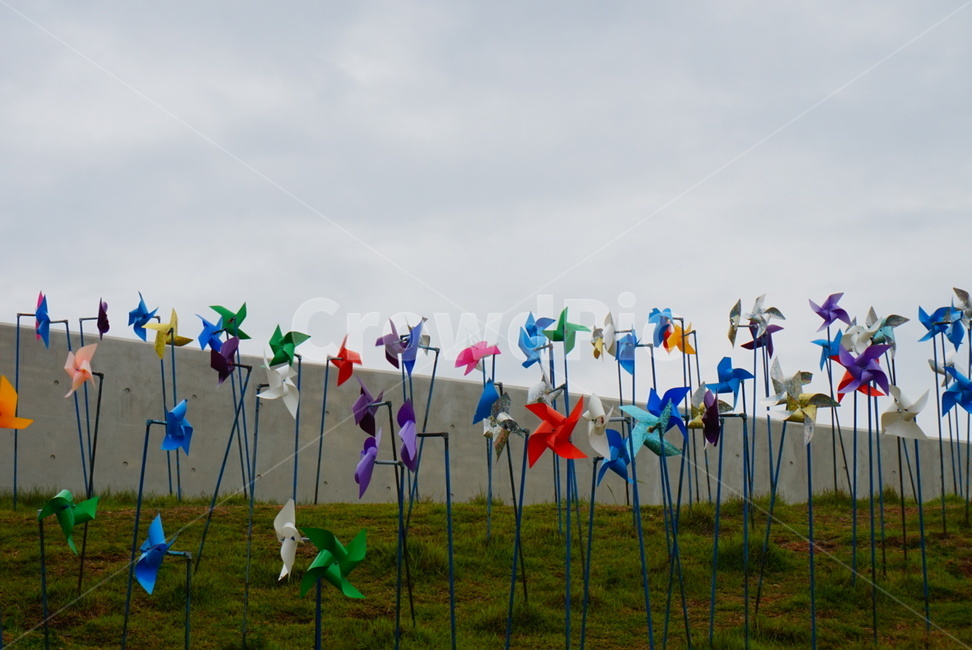 임진각,평화,바람개비,컬러풀,화려한,소원