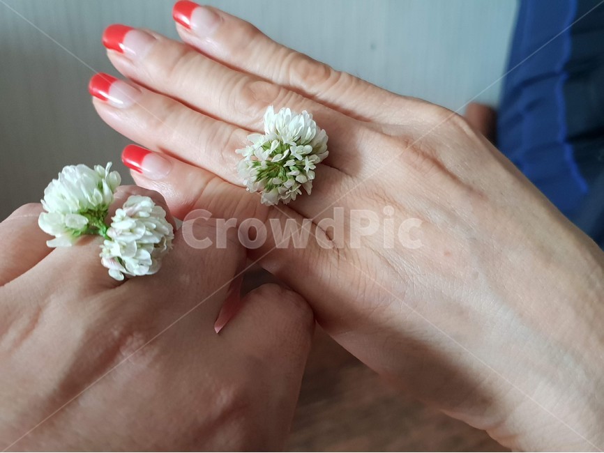 손,여자,신체,사람,꽃반지,약속,감성,네일아트,손톱,여름,꽃,flower,사람,인물,인간,human,person,신체일부,몸,body