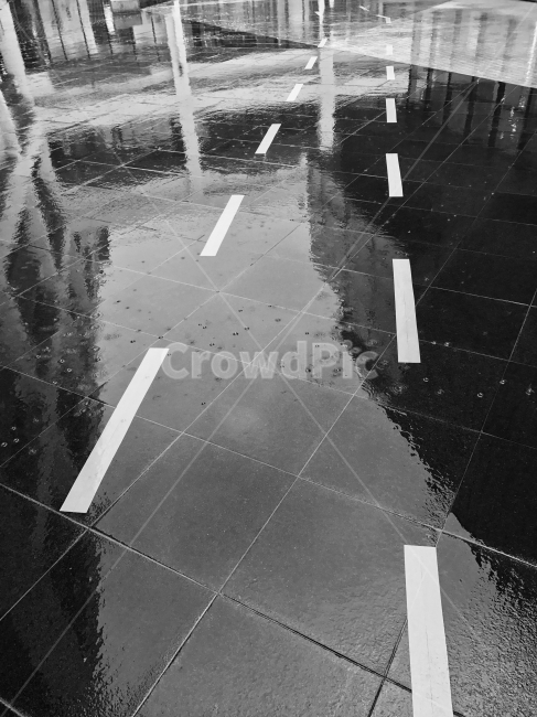 흑백,비,빗방울,송도,여름,비,비오는날,rain,rainy,흑백,모노톤,monochrome,black and white