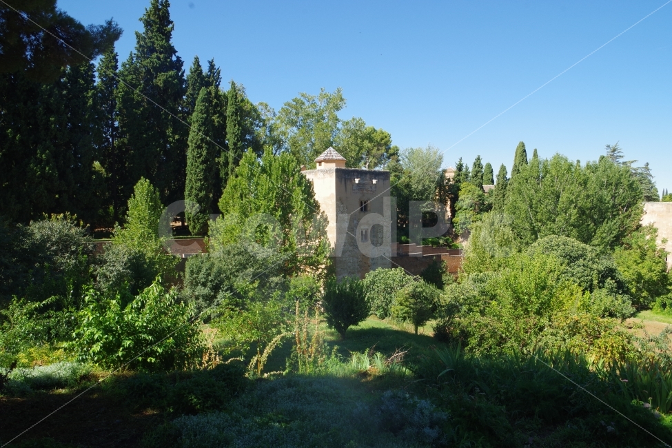 	여행,스페인,그라나다,알함브라travel,spain,grananda,alhambra,해외,외국,세계,foreign,oversea,world