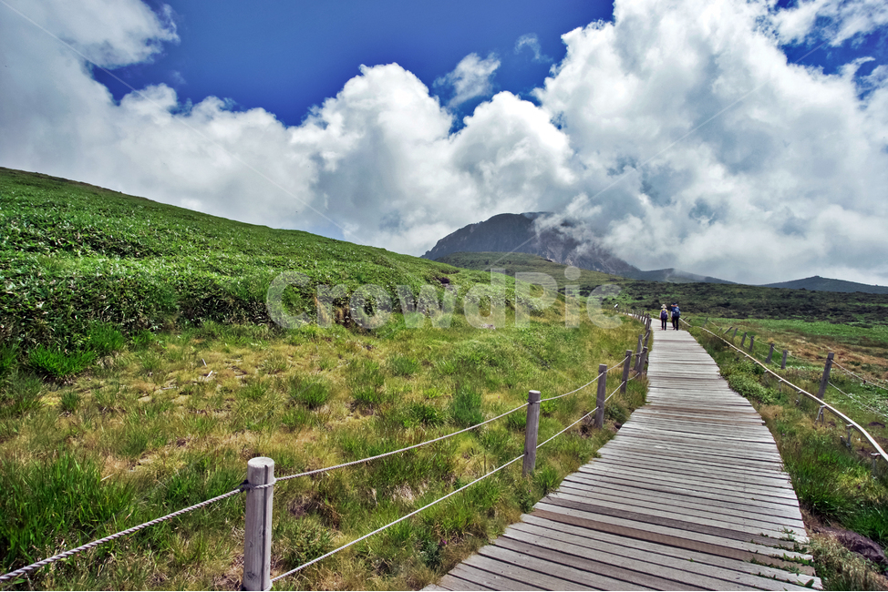 제주도,한라산,윗세오름,명산,영실코스,자연,신록,계절,탐방로,자연,풍경,nature,landscape,한국자연풍경,한국자연경관,korea nature landscape,제주도,jeju,jeju island