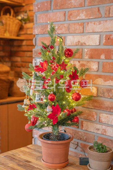 mini tree,christmas decoration,christmas tree,plant,tree,tree decoration,Cafe with good atmosphere,Christmas Photo Contest,christmas,decoration