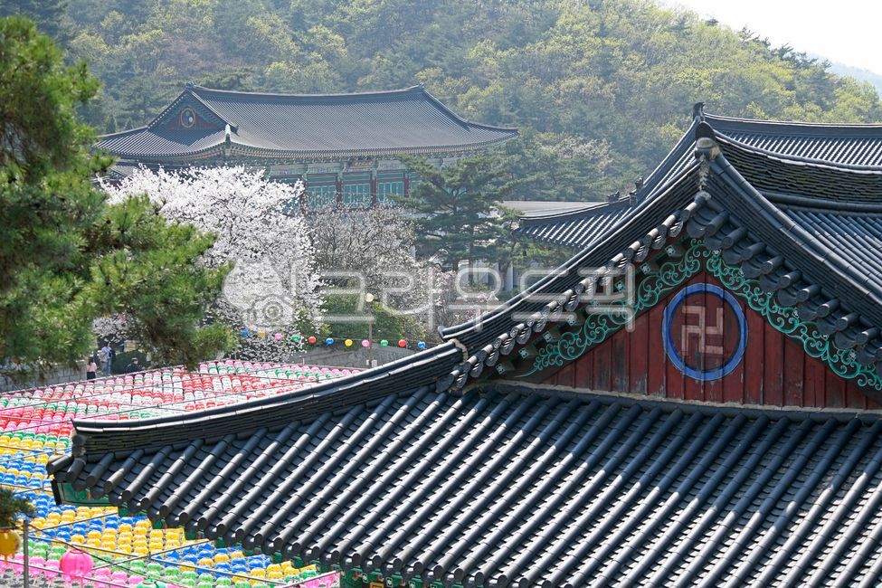 지붕,내림마루,용마루,한옥,합각,기와,만자,각원사,사찰,불교사찰