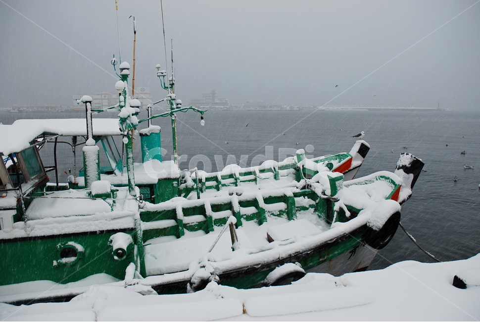 목선,설경,배,선박,정박,겨울,계절,winter,season,산업,industry,industrial,어업,fishery,fishing industry