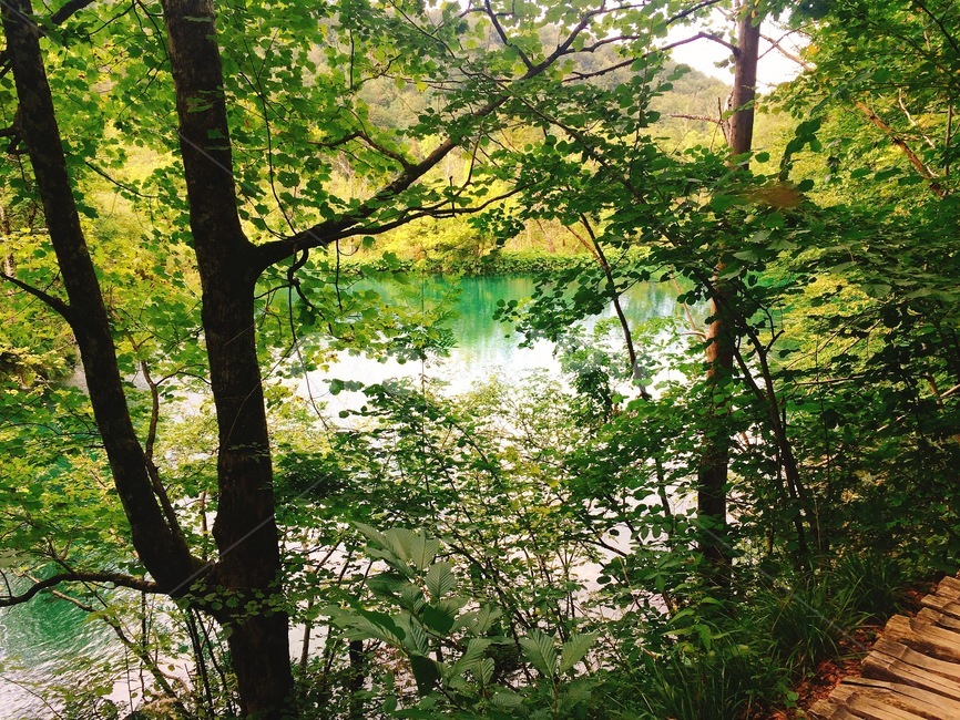 호수,폭포,lake,waterfall,크로아티아,croatia,에메랄드,emerald,자연,nature,국립공원,플리트비체