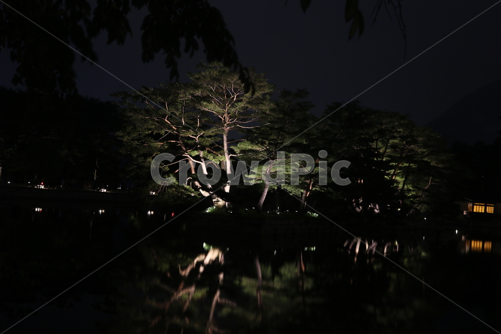 경복궁,경회루,야경,경북궁야경,소나무,조선시대,gyeongbokgung,서울,seoul,キョンボックン,ソウル,gyeonghoeru,慶会楼,야경,밤,풍경,nightscape,night,landscape,nature,자연,outdoors,옥외