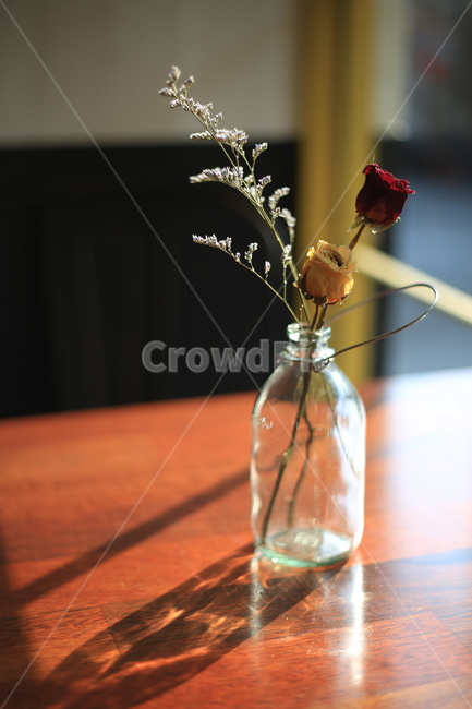 꽃,꽃병,빛,장미,테이블,창문,flower,sunshine,rose,table,vase,window,실내용화초,화분,화초,house plant