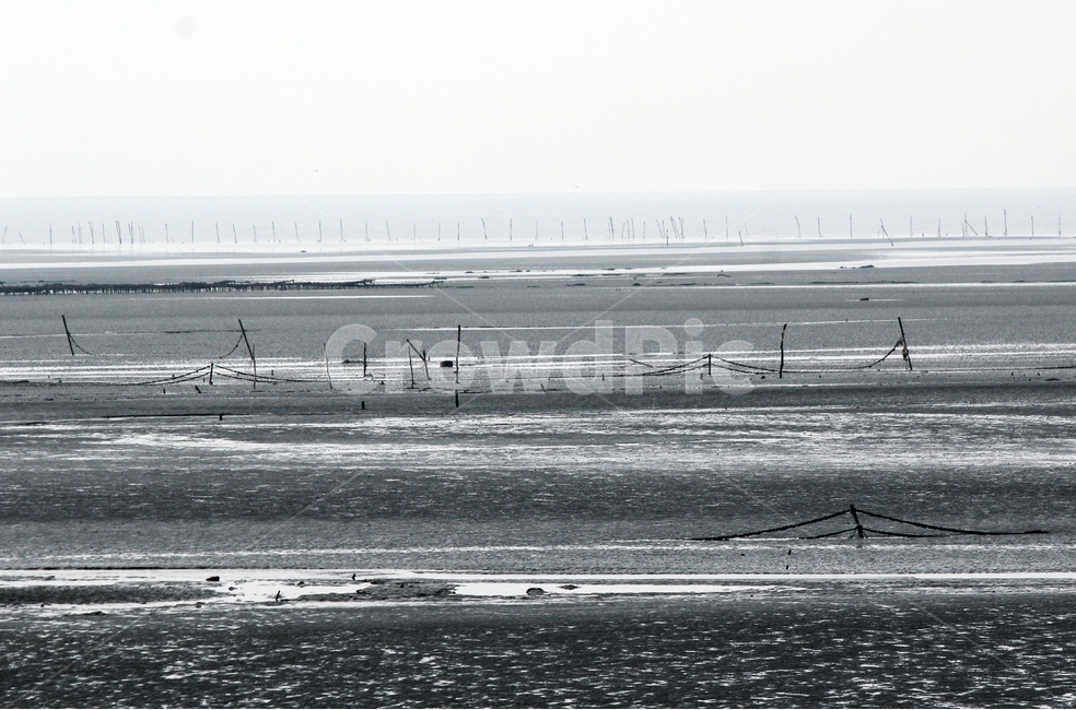 갯벌,고요,침묵,개막이,그물,자연,풍경,nature,landscape,흑백,모노톤,monochrome,black and white,outdoors,옥외