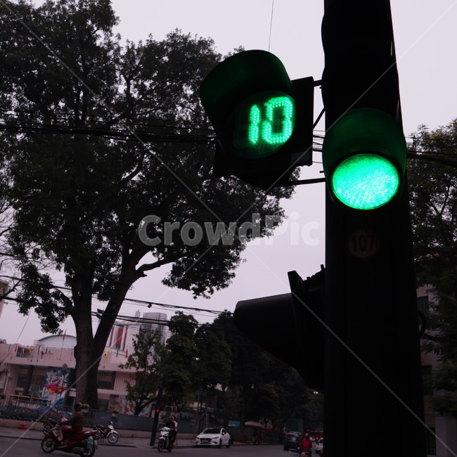 초록색,light,빛,trafficlight,신호등,교통,교통수단,traffic,transportation