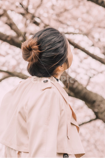 벚꽃,핑크,벚꽃여자,핑크코트,올림머리,색감,봄,계절,spring,season,사람,인물,인간,human,person,여성,여자,woman,female,lady