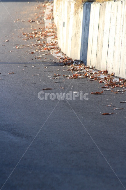 가을,낙엽,fall,leaves,autumn,가을,계절,fall,autumn,season