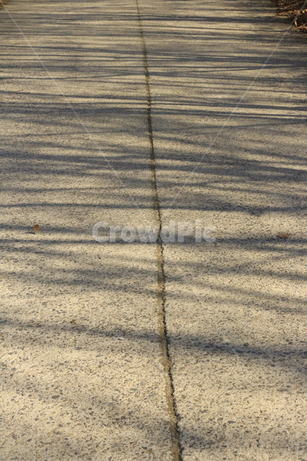 그림자,길,선,경계,아스팔트,바닥,asphalt,ground