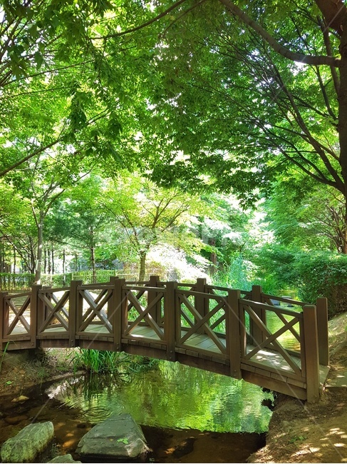자연,나무,힐링,풍경,다리,시냇물